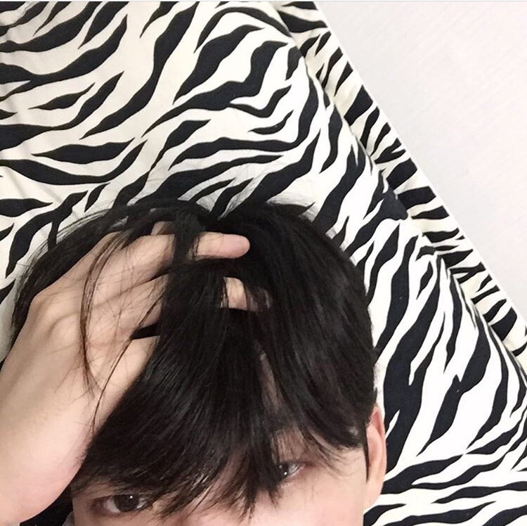 宗政唯芸凤