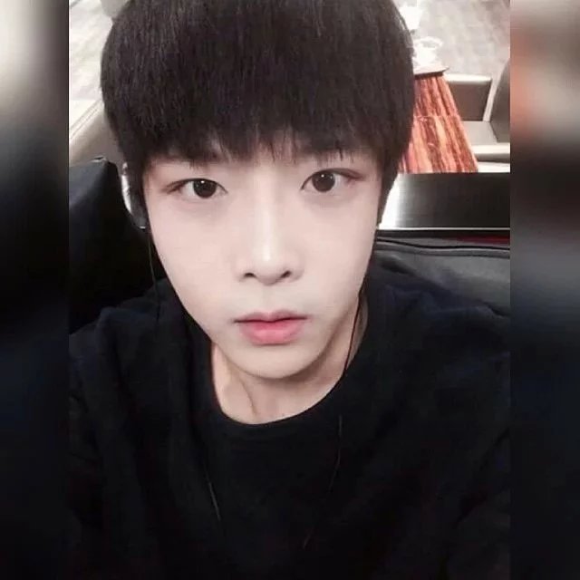 贡言清君